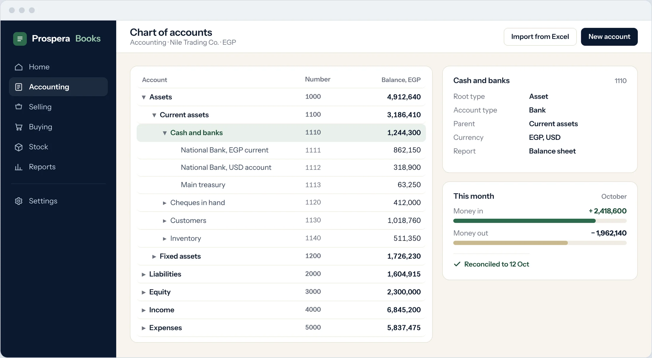 Sample: chart of accounts tree with balances in Egyptian pounds