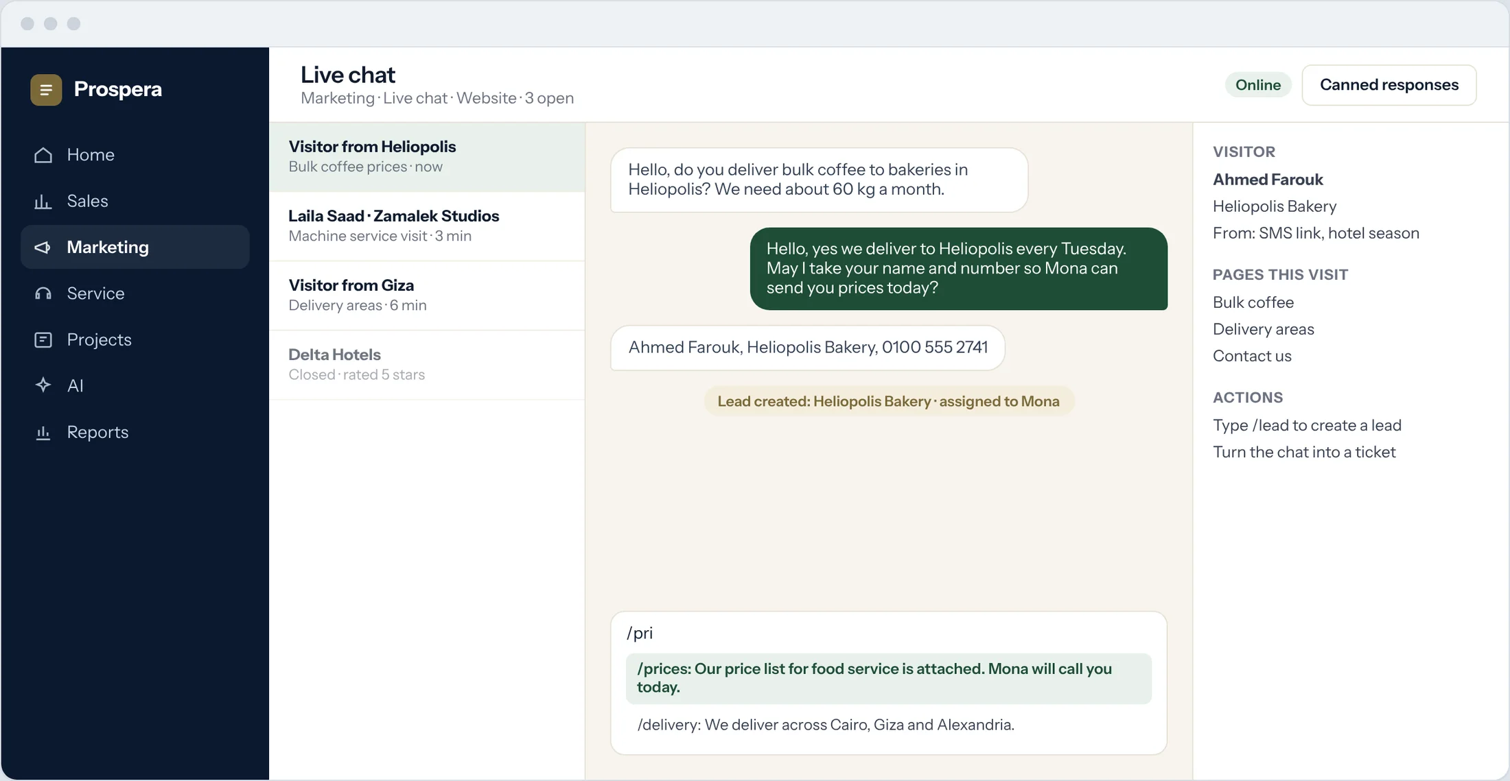 Sample: a live chat with a visitor that creates a lead, with canned responses and the visitor's pages